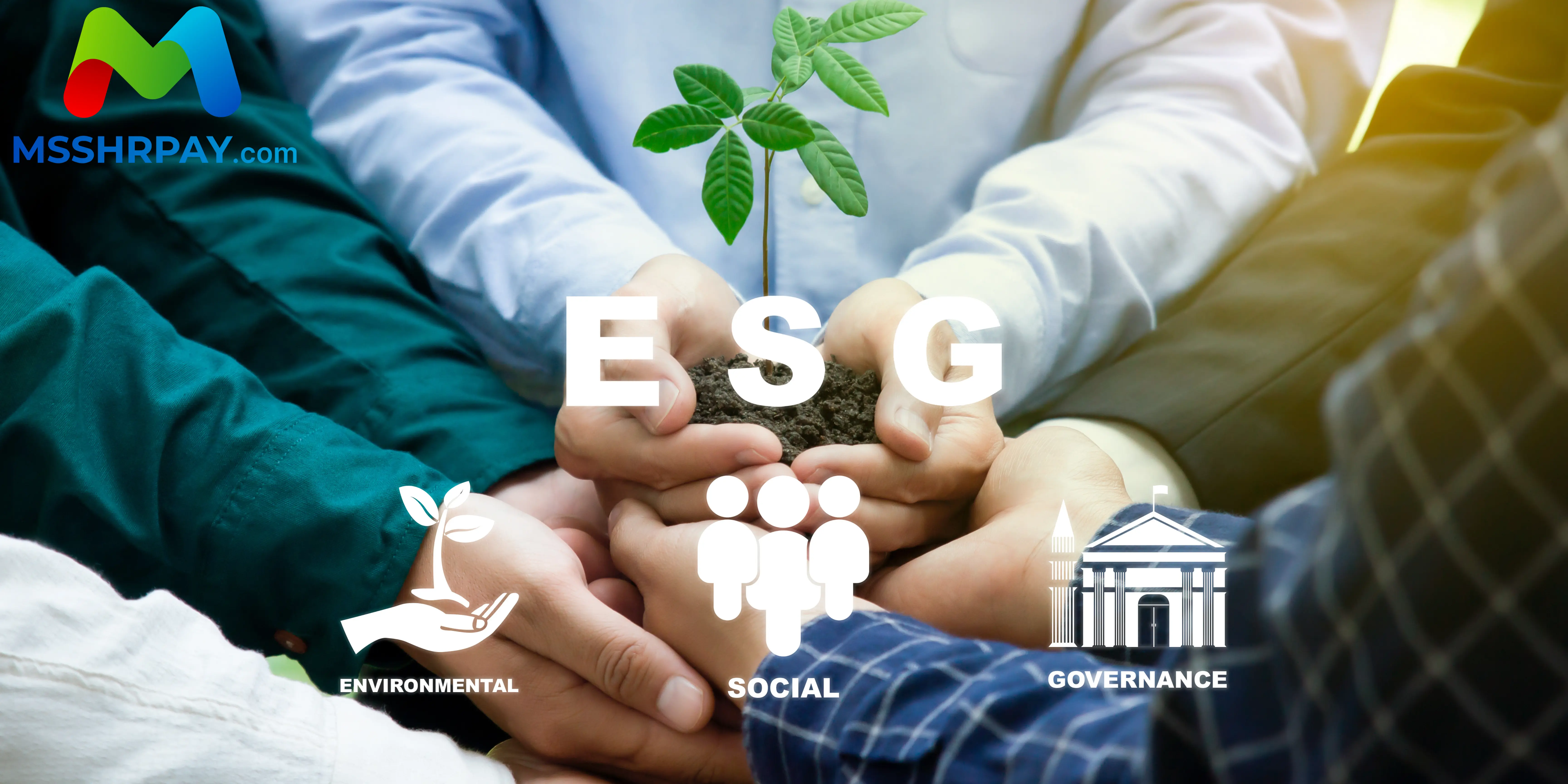 Mengenal Konsep ESG: Bagaimana Perusahaan Bisa Berkontribusi pada ...